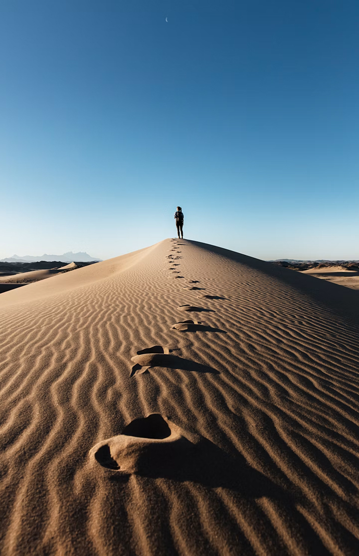 Namib desert dunes